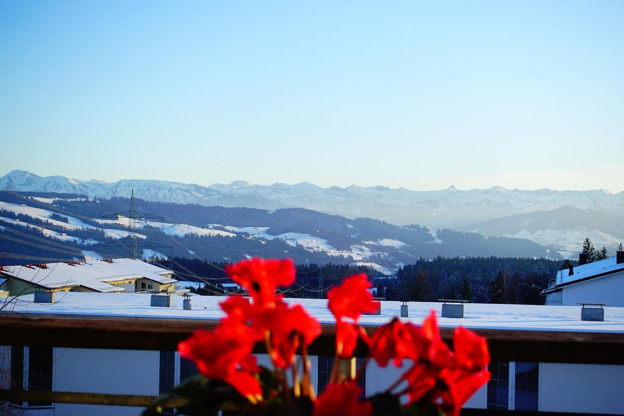 Relax-red Mit Pool Und Sauna Apartment *